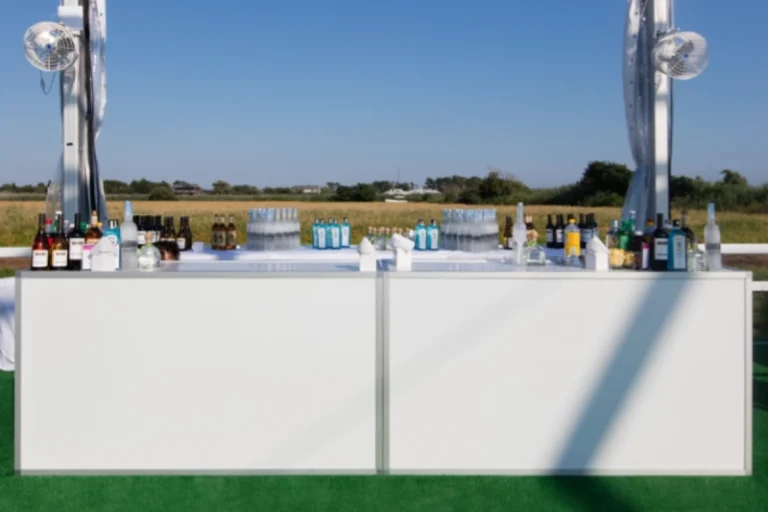 Chrome Portable Plexi Bar