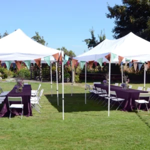 Frame Tents